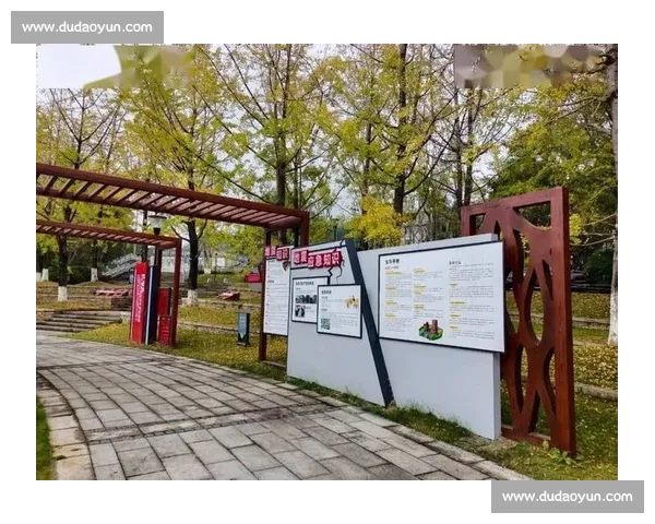 提升综合防御力与对抗能力的策略研究与实用指南